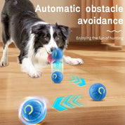 USB Smart Interactive Pet Toy Ball
