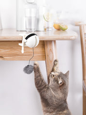 Interactive Lifting Cat Toy