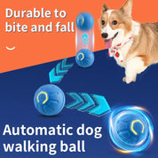 USB Smart Interactive Pet Toy Ball