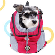 Mesh Backpack Pet Carrier
