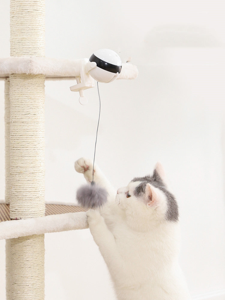 Interactive Lifting Cat Toy