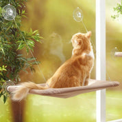 Sunny Cat Window Hammock Bed