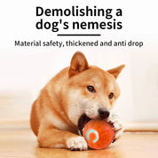 USB Smart Interactive Pet Toy Ball